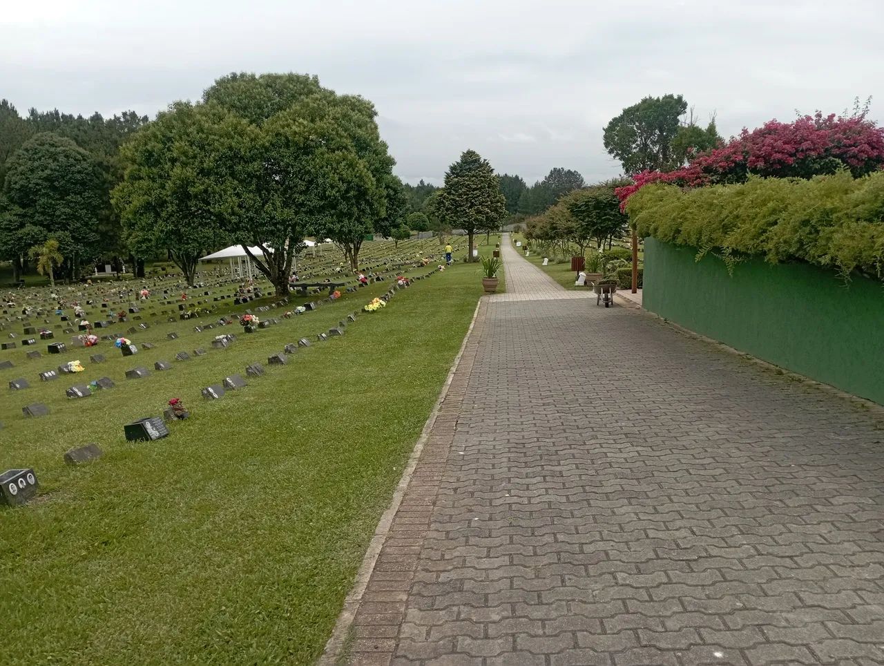 Jazigo 3 gavetas em SJP  - Foto 4