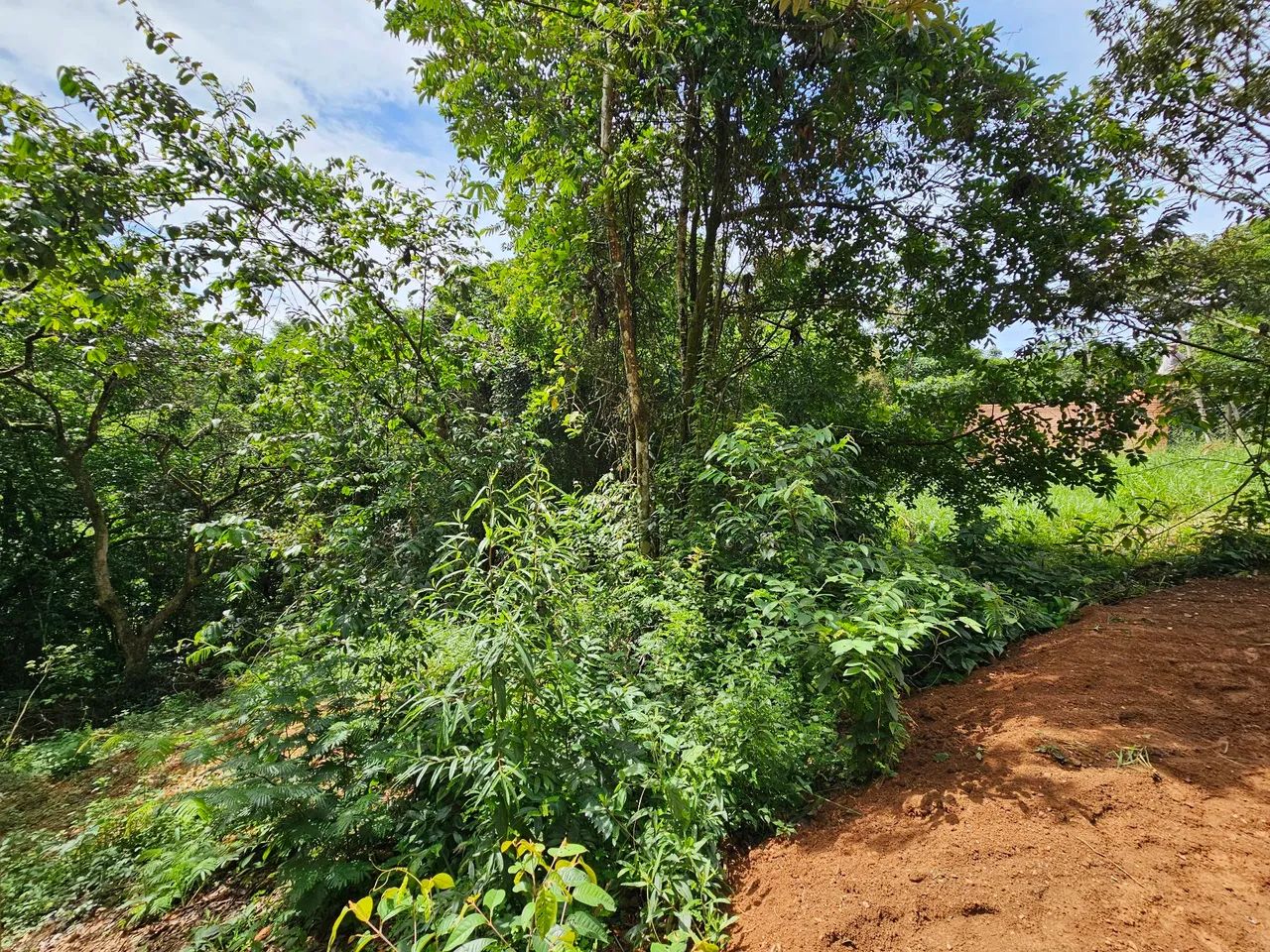 Terreno com acesso exclusivo a cachoeira no centro de Chapada dos Guimarães! - Foto 7