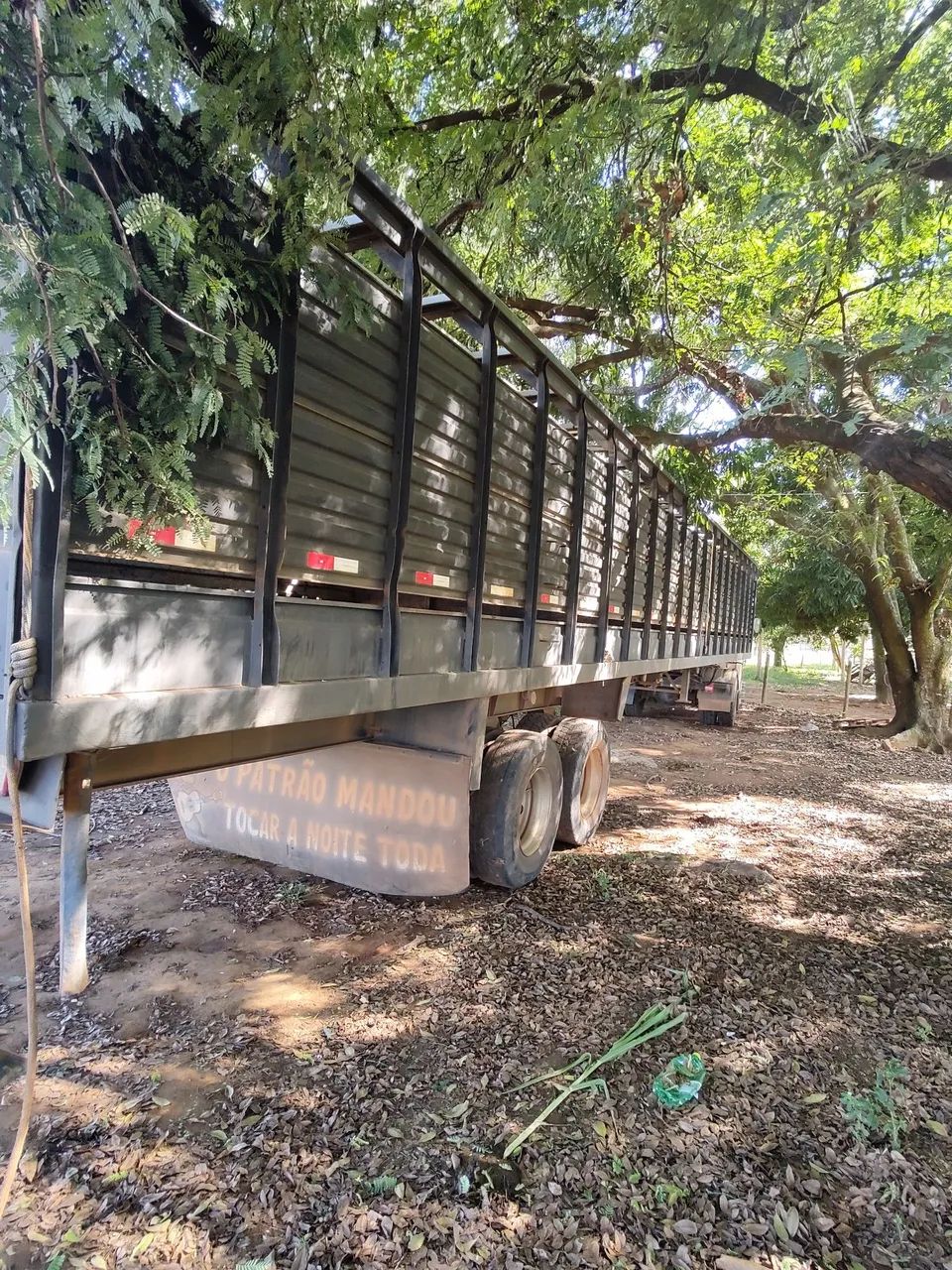 Carreta Boiadeira - Foto 6