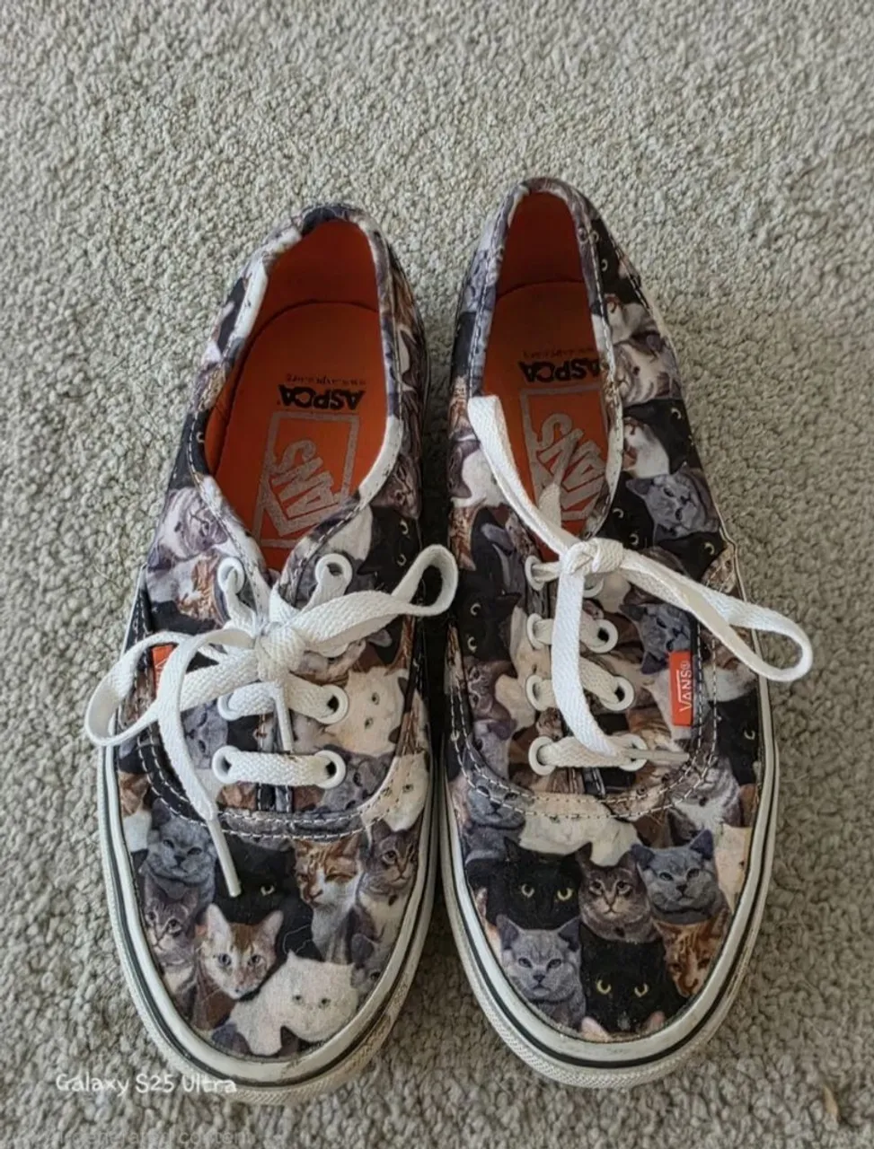 Tênis Vans gatos