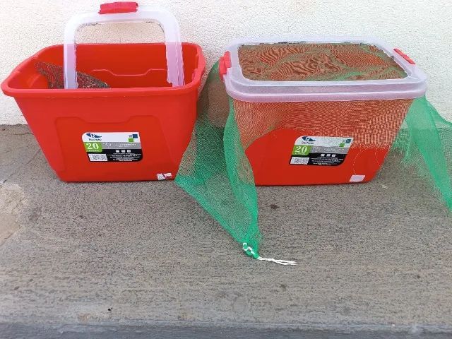 Caixa para criação de insetos