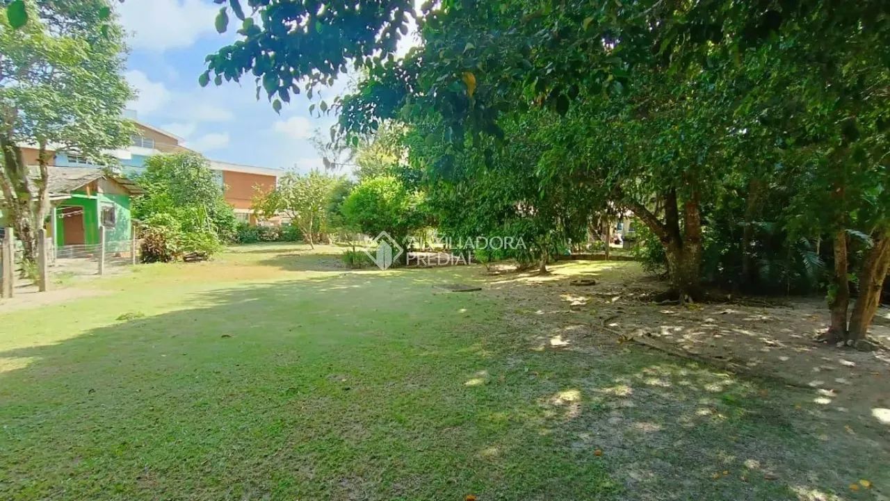 Oportunidade: Sítio de 25.000 m², Plano e com Frente para a Geral - Foto 5