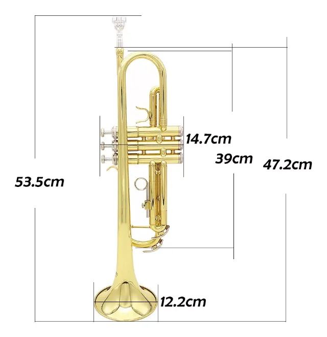 Trompete Irin Slade Si Bemol (bb) Dourado De Latão Case Luxo - Foto 3