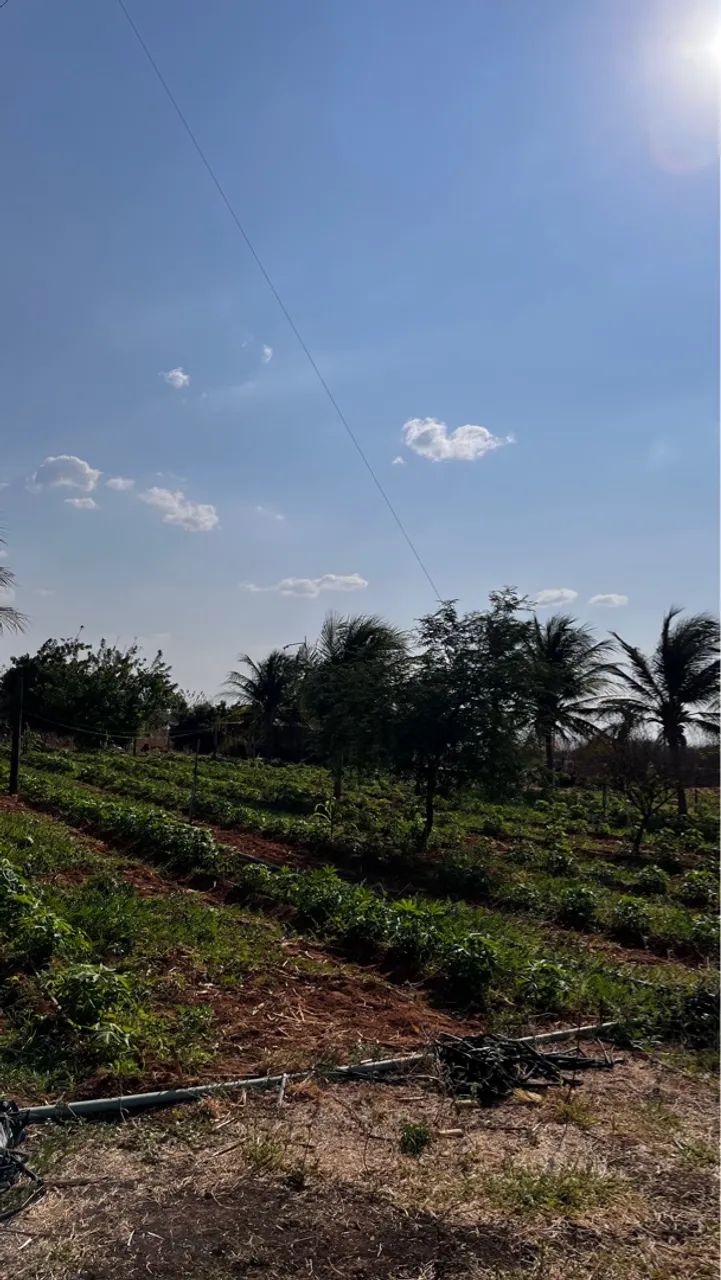 Vende-se este Sitio / Terreno / Roça em São João do Piauí - Lagoa da Serra  - Foto 5