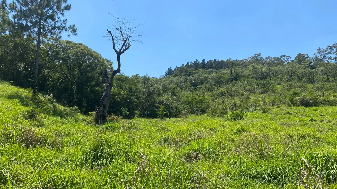 Condomínio Fechado em São Roque Lotes de 1000m²