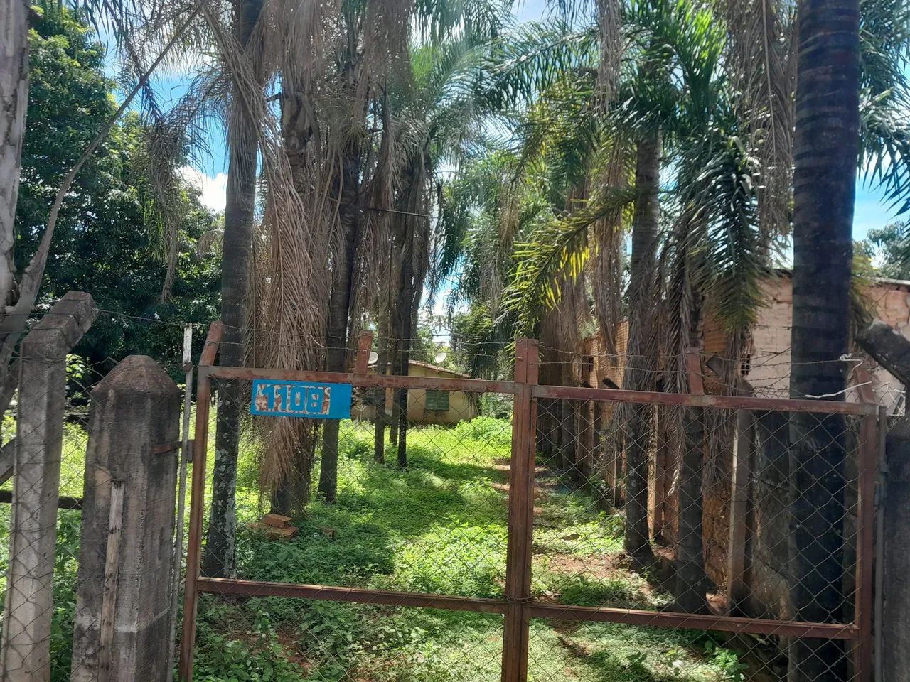 Foto - Uberlândia - Mansour