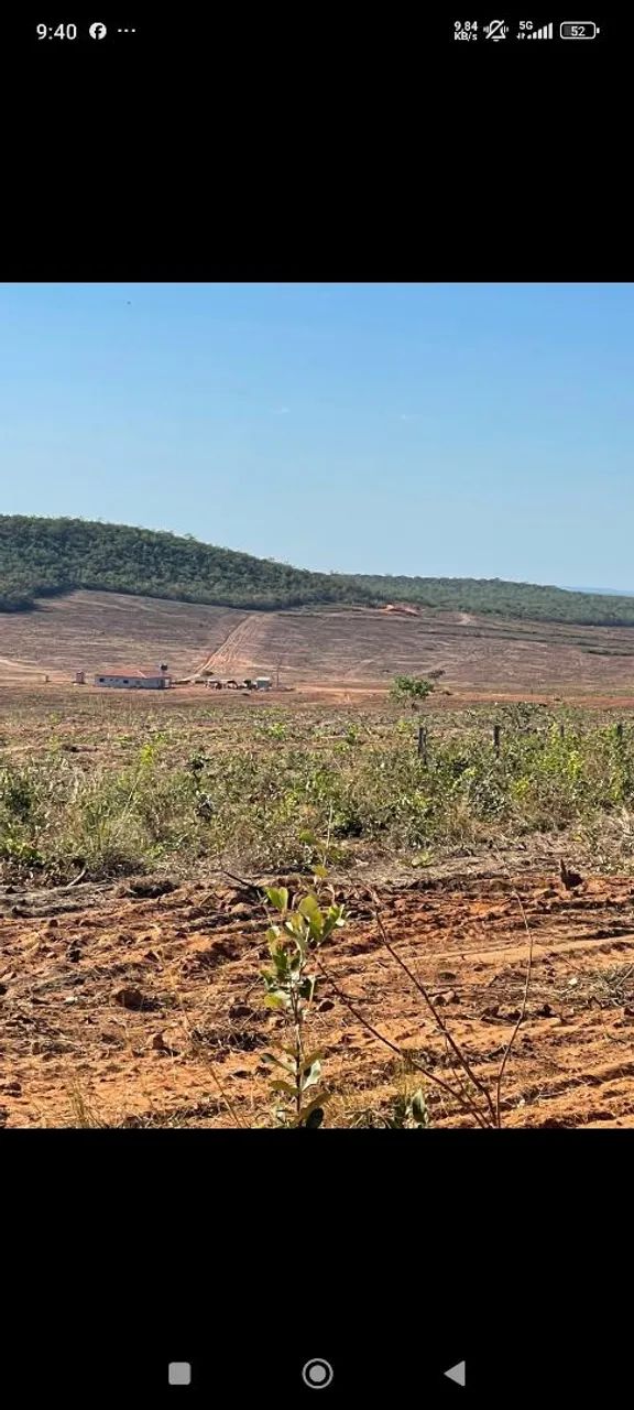 Fazenda de arrendamento 1.600 hec 430 aberto com 8 Ton calcário  - Foto 2