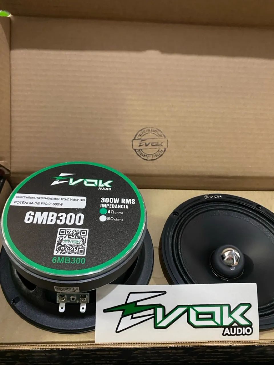 6p evok 300rms