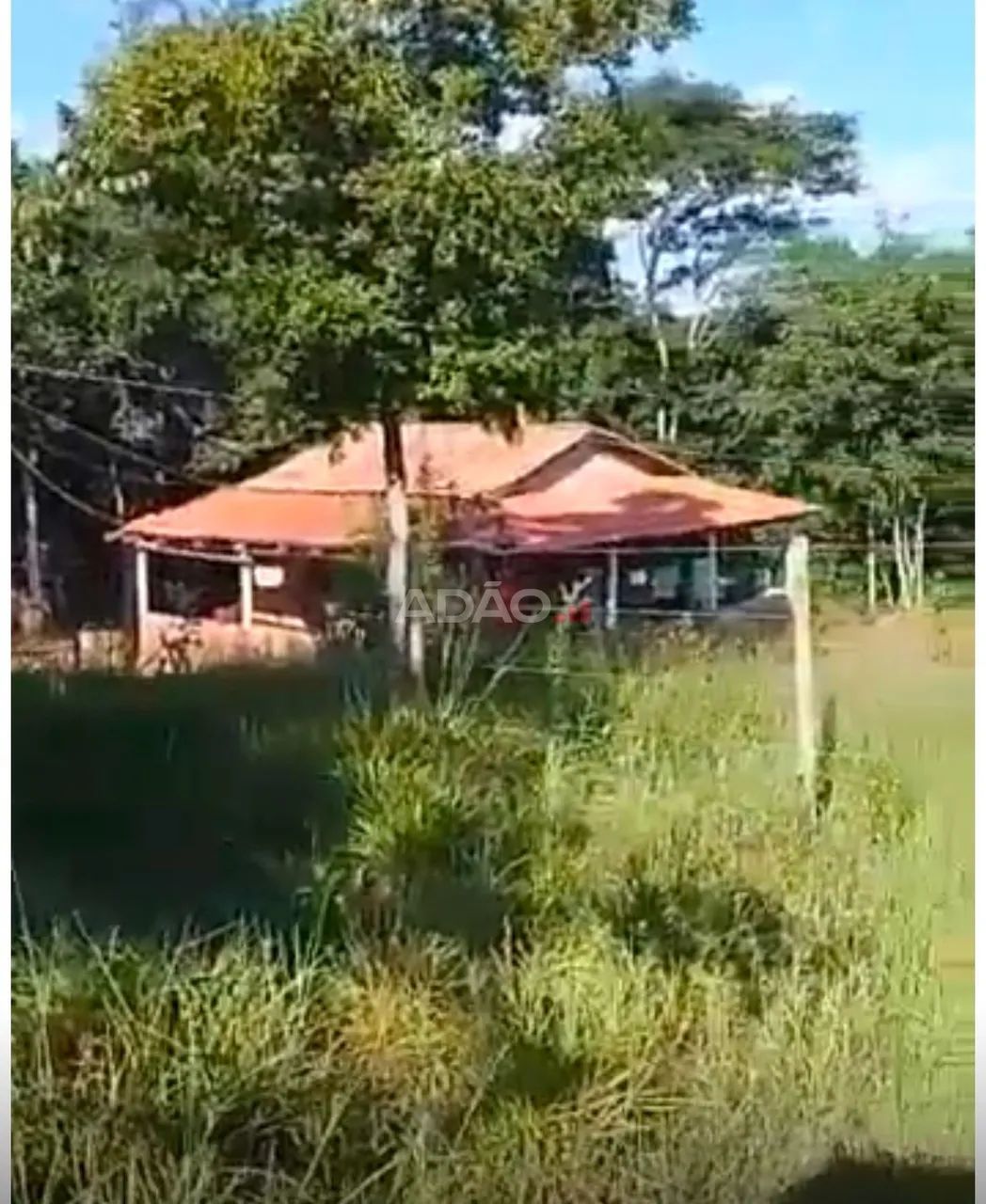 CHACARA - Palmeiras de Goias - Foto 2