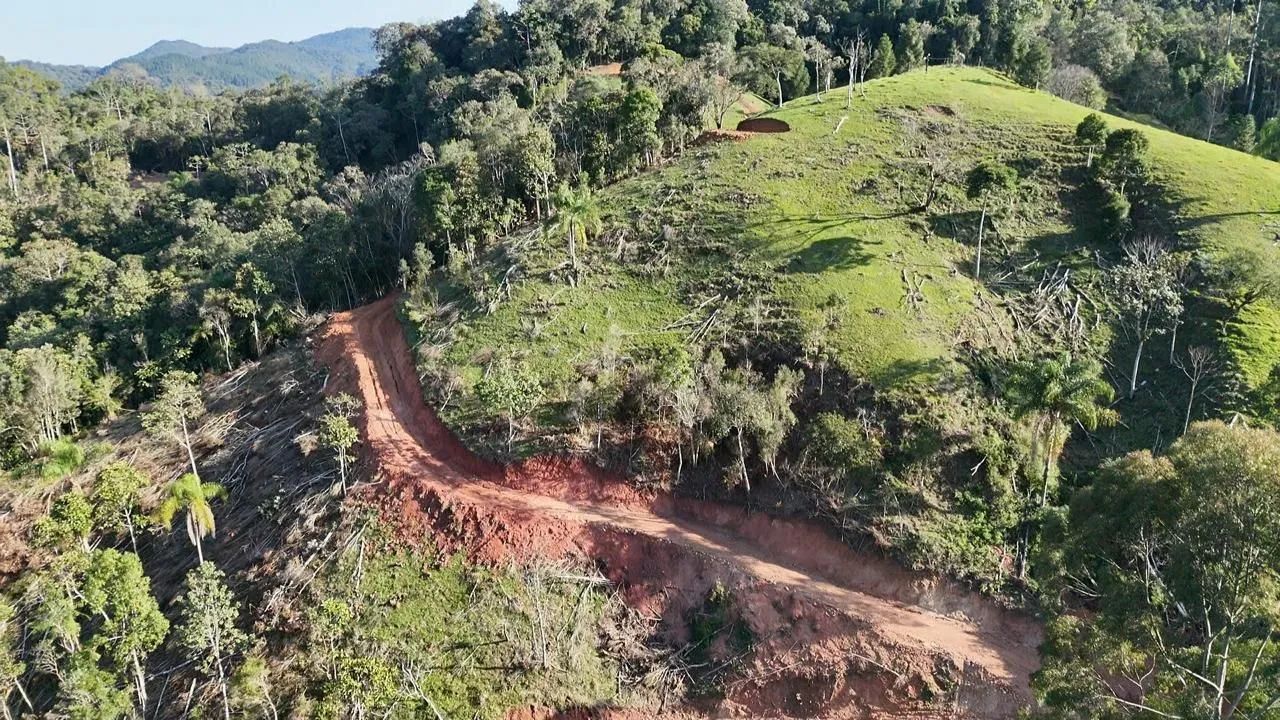 2 HECTARES COM NASCENTE - Foto 4