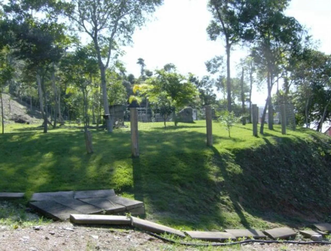 Lote / Terreno em Ponta de Baixo - São José - Foto 4