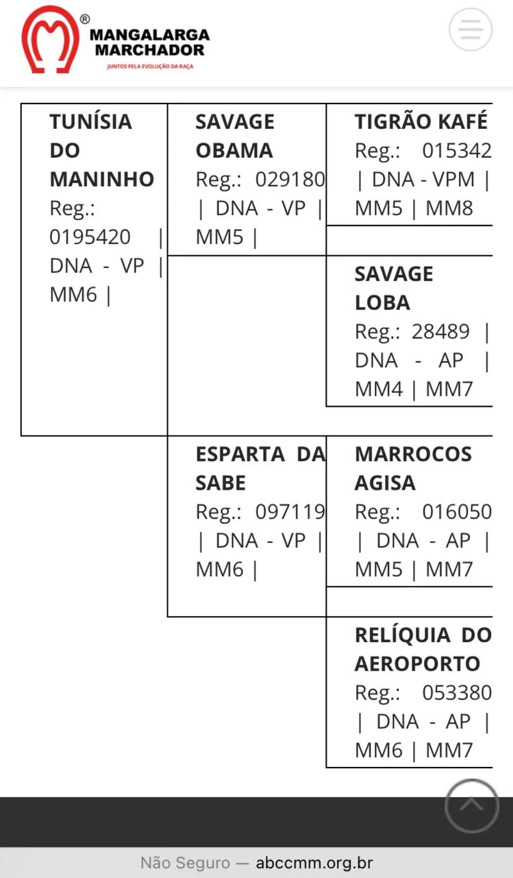 POTRO MM neto do Lótus da Catimba!!! - Foto 5