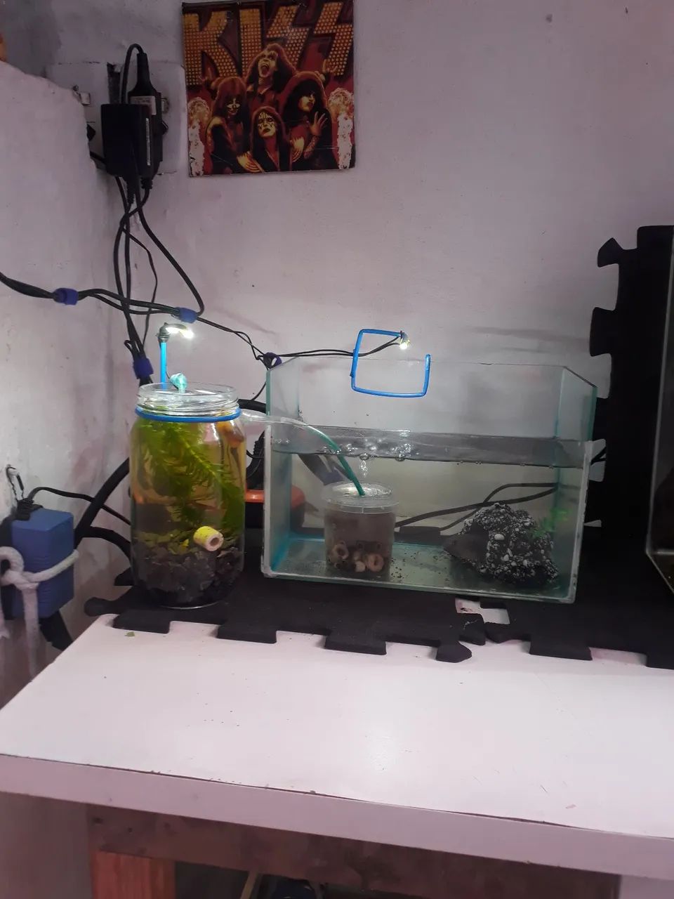 VENDA DOS AQUARIOS E UM AQUALAGO - Foto 2