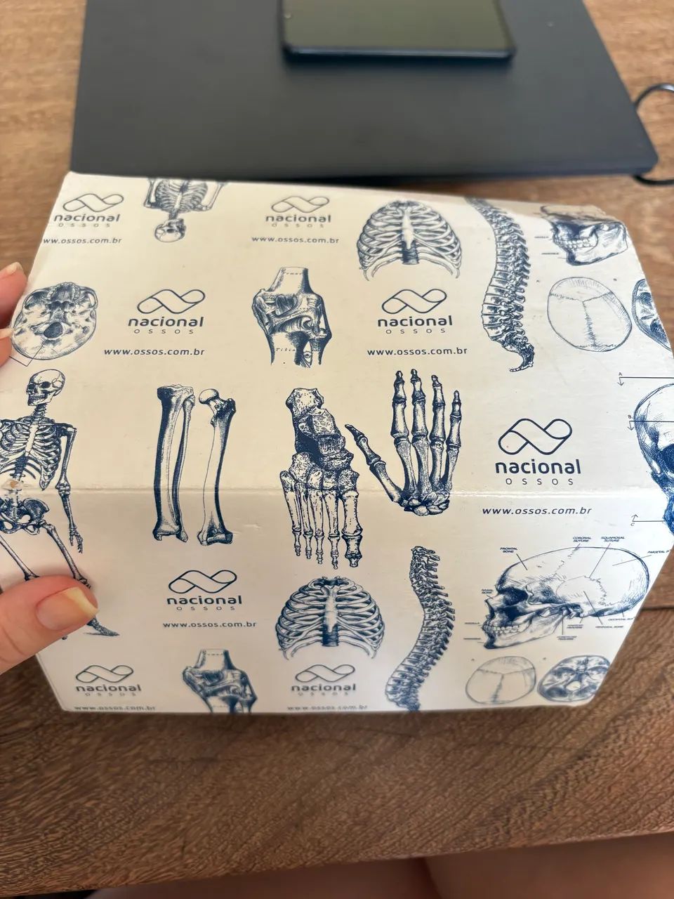 modelo anatômico odontológico da Nacional Ossos - Foto 2