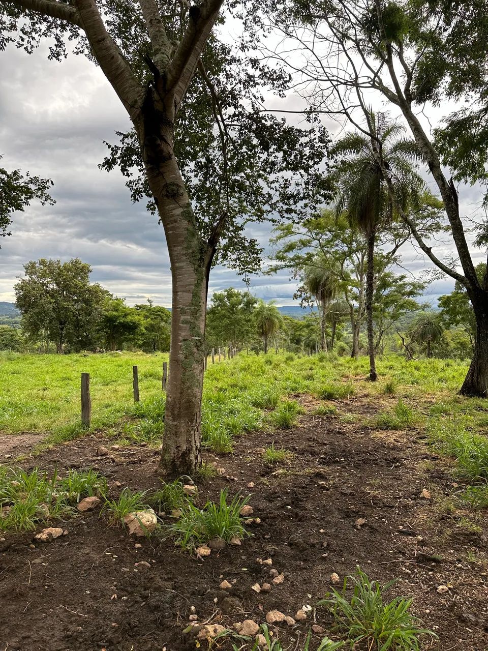 Fazenda Barrolandia  - Foto 5