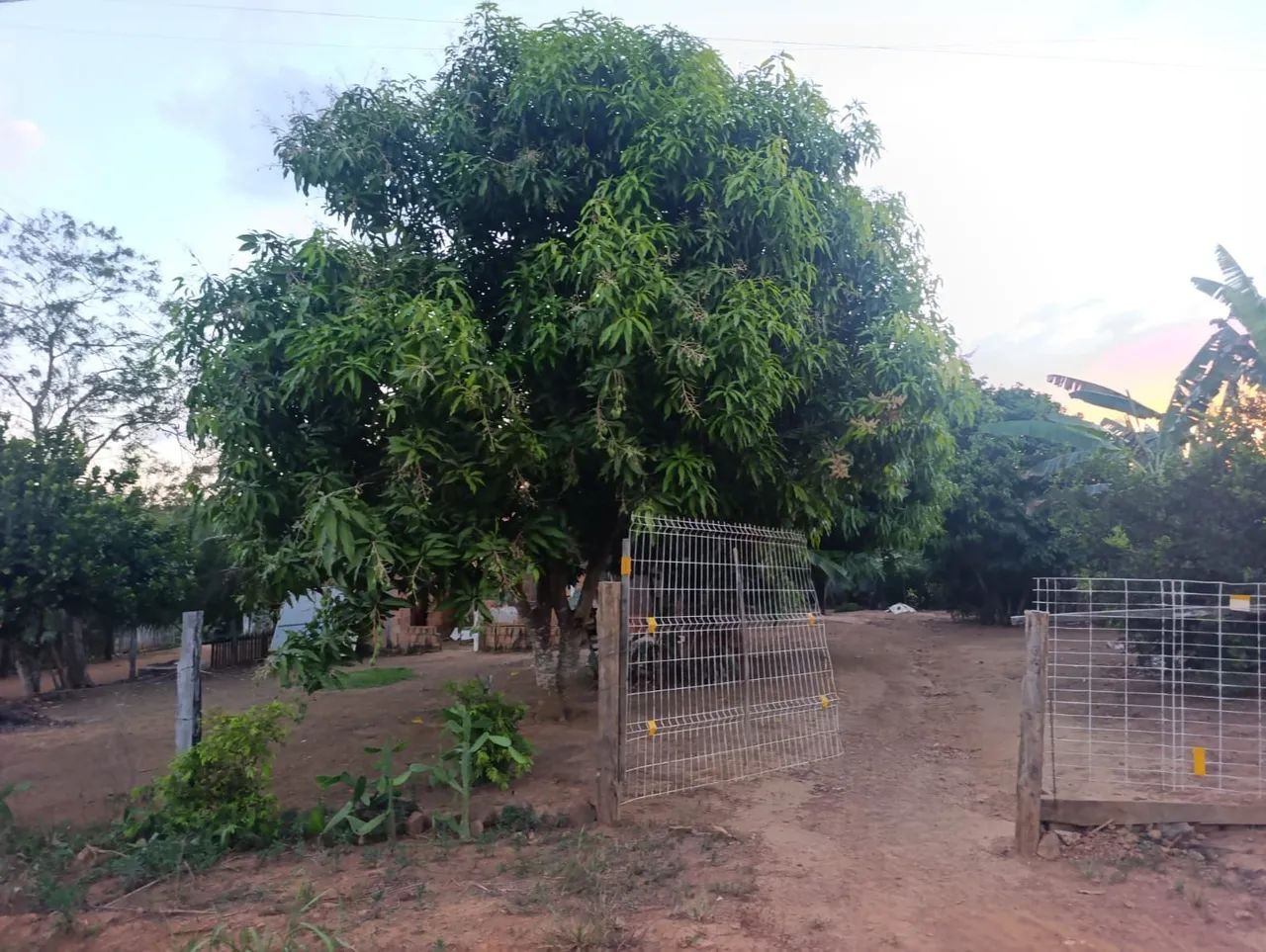 CHÁCARA À VENDA EM PARAUAPEBAS/PA - Foto 4