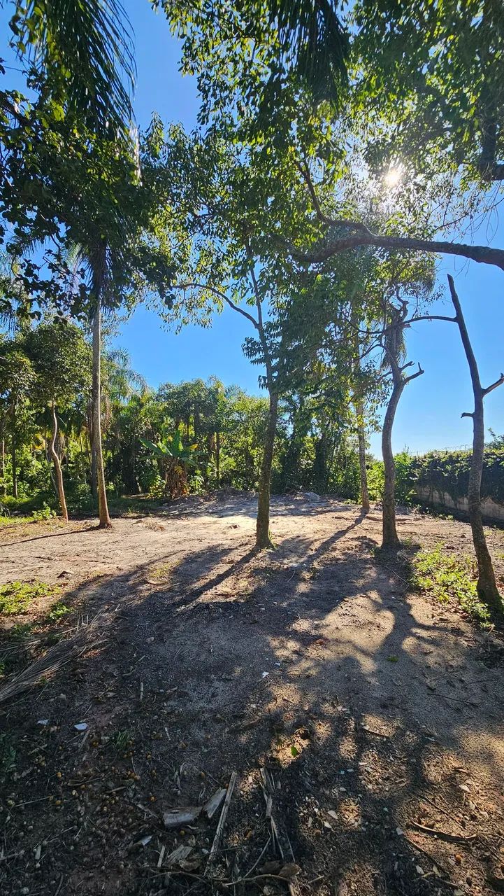 Terreno 1.000m² para Locação no Campeche | 5KM do Aeroporto de Florianópolis - Foto 5
