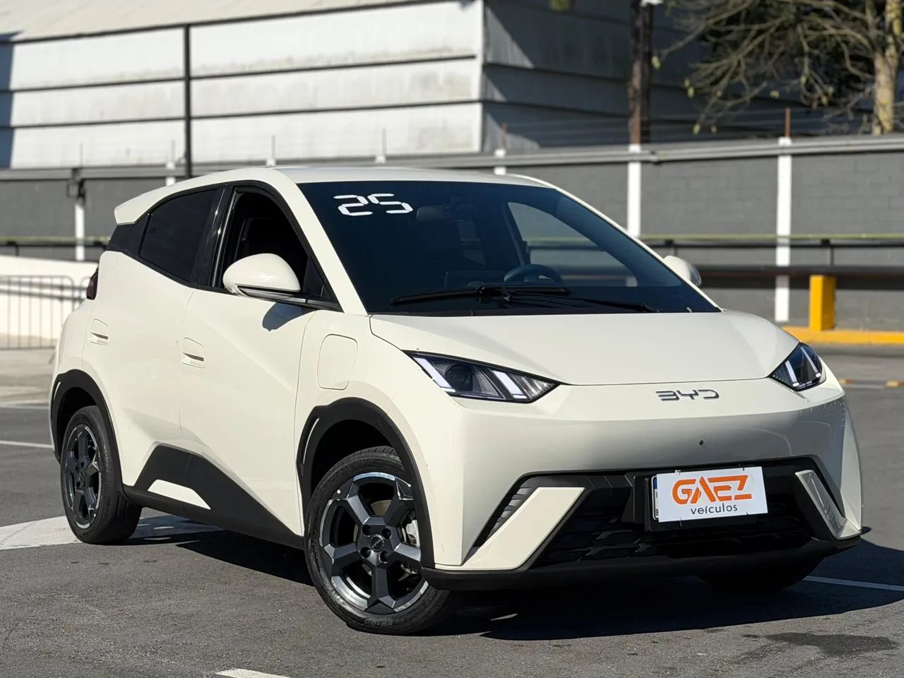 BYD Dolphin EV (Elétrico) 2025 - Foto 3