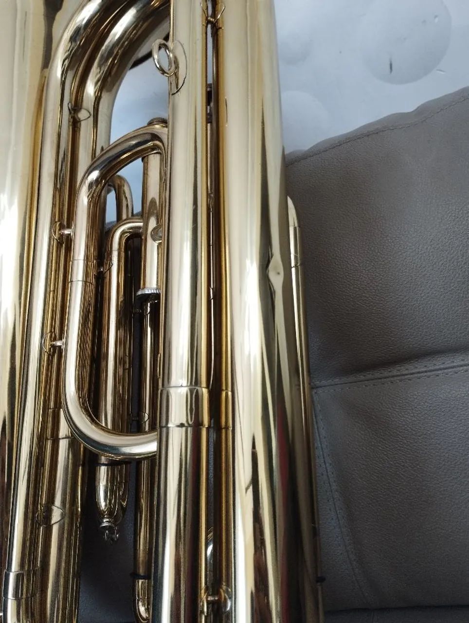 Tuba weril  - Foto 3