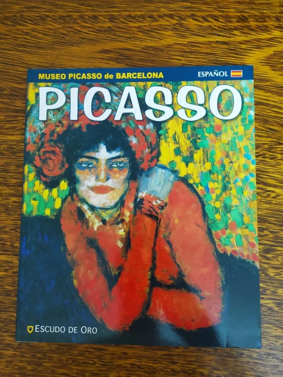 Livro Picasso