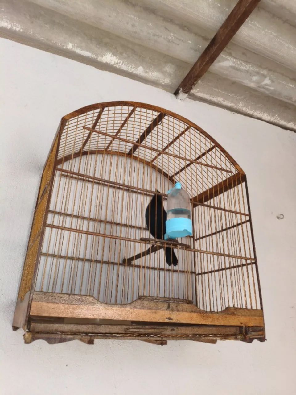 Gaiola grande 