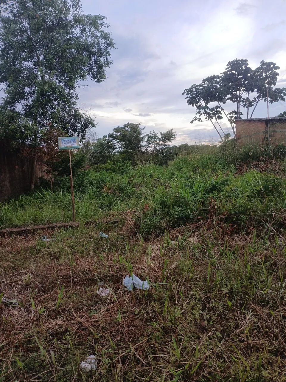 Terreno 11×100 - Foto 2