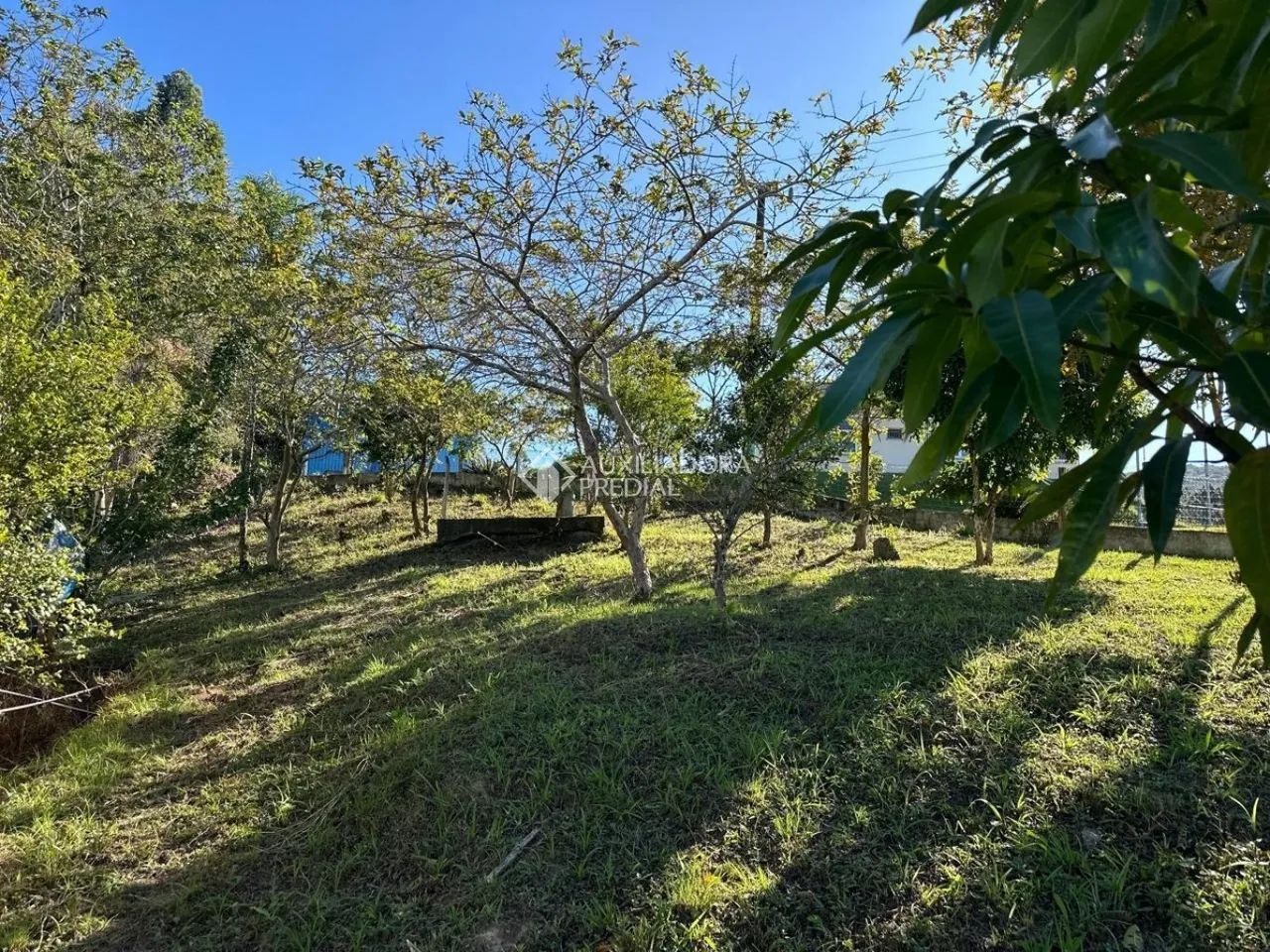 Lindo terreno matriculado e financiável - Foto 2