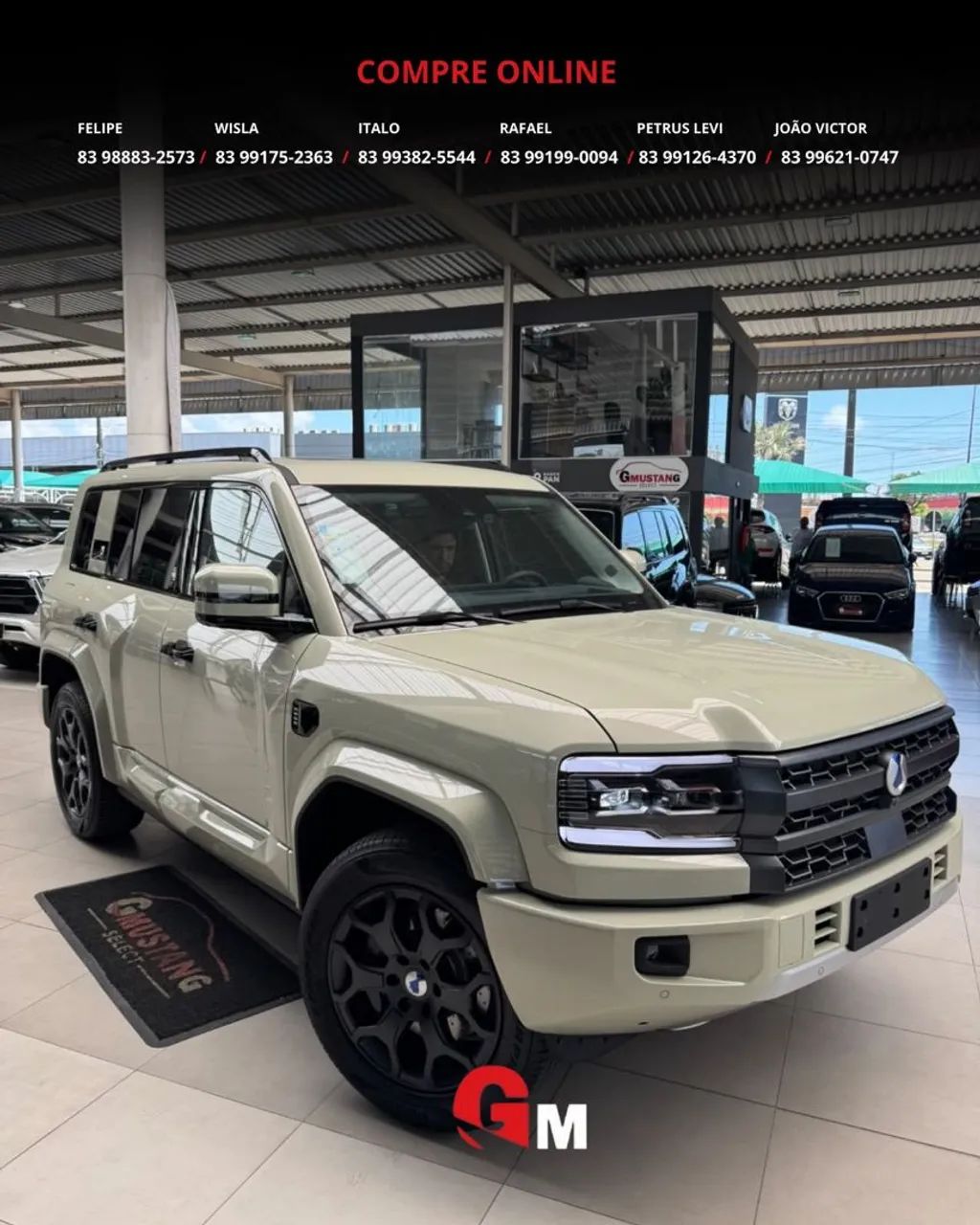 Denza B5 4WD, foto 3 de 20