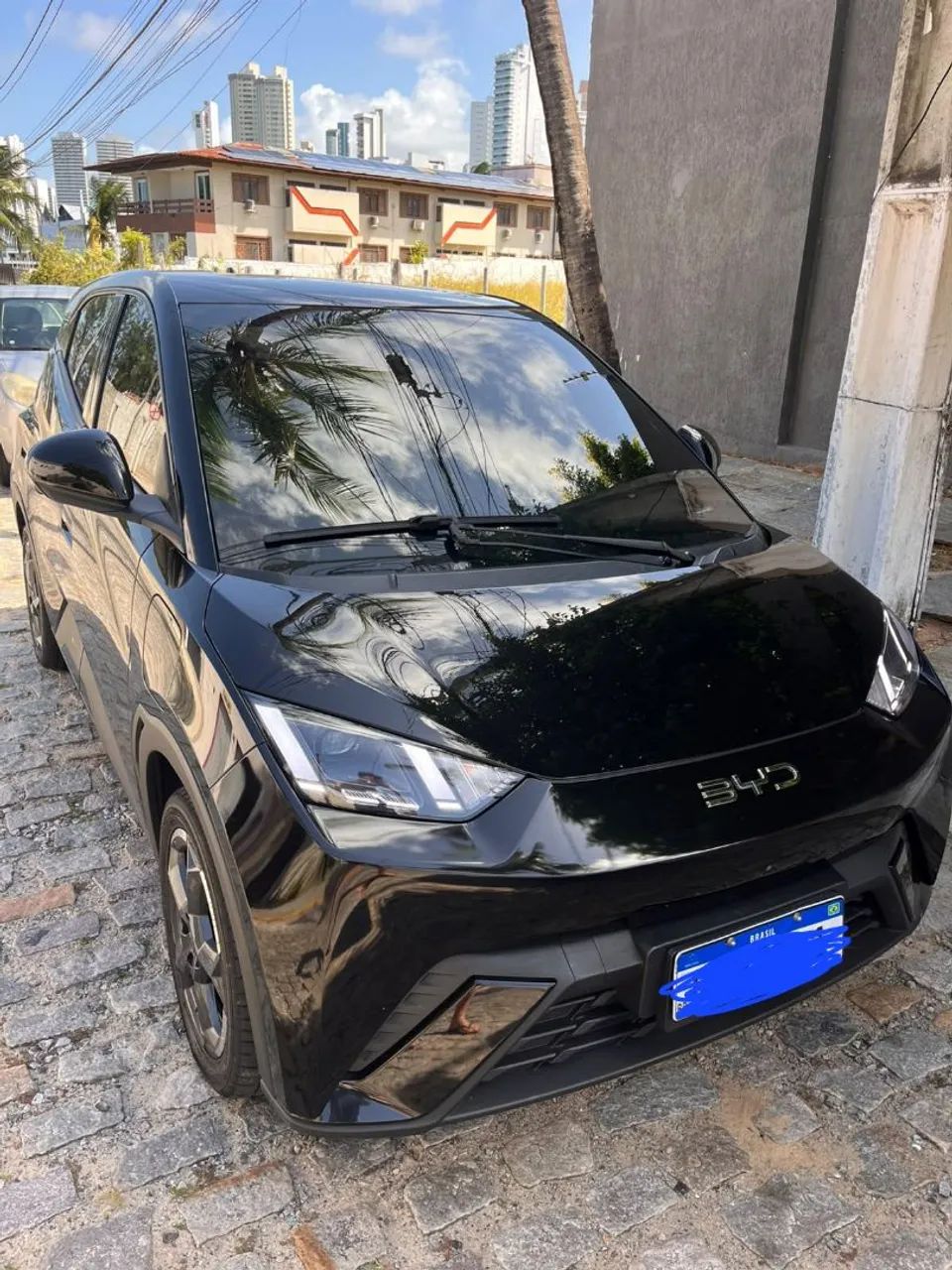 BYD Dolphin Mini (Elétrico) 2025