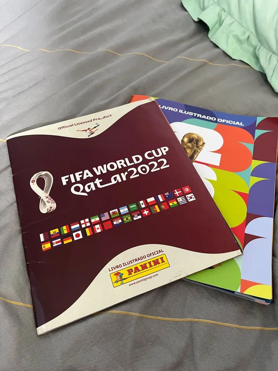 Álbum da Copa 2022 Completo e de 2026 incompleto 