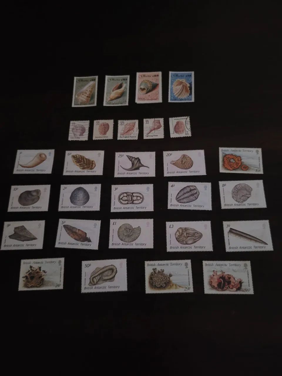 Coleção de selos , 29 selos , tema: conchas - Foto 4