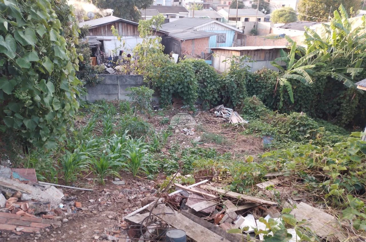Vendas Terreno Guarapuava PR - Foto 3
