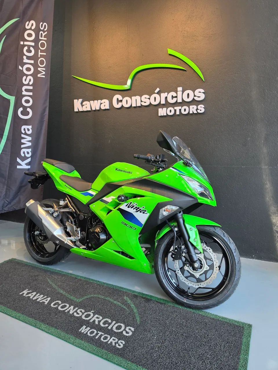 Ninja 300 