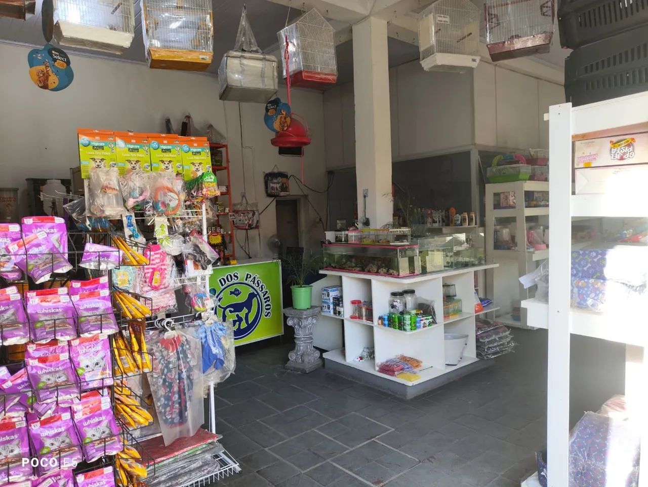 PET SHOP À VENDA  - Foto 4