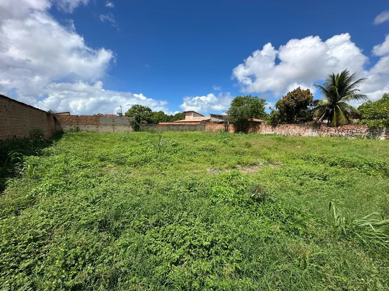 Próximo A PRAIA DO FRANCÊS Area para venda tem 960m2 - Marechal Deodoro - AL - Foto 5