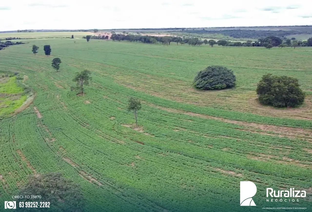 FAZENDA COM RIBEIRÃO, REPRESA E NASCENTES | 242 HA EM PRODUÇÃO - Foto 3