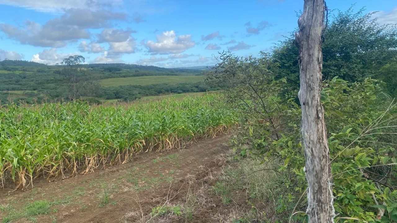 Terreno à venda - Japoatã/SE - Foto 3