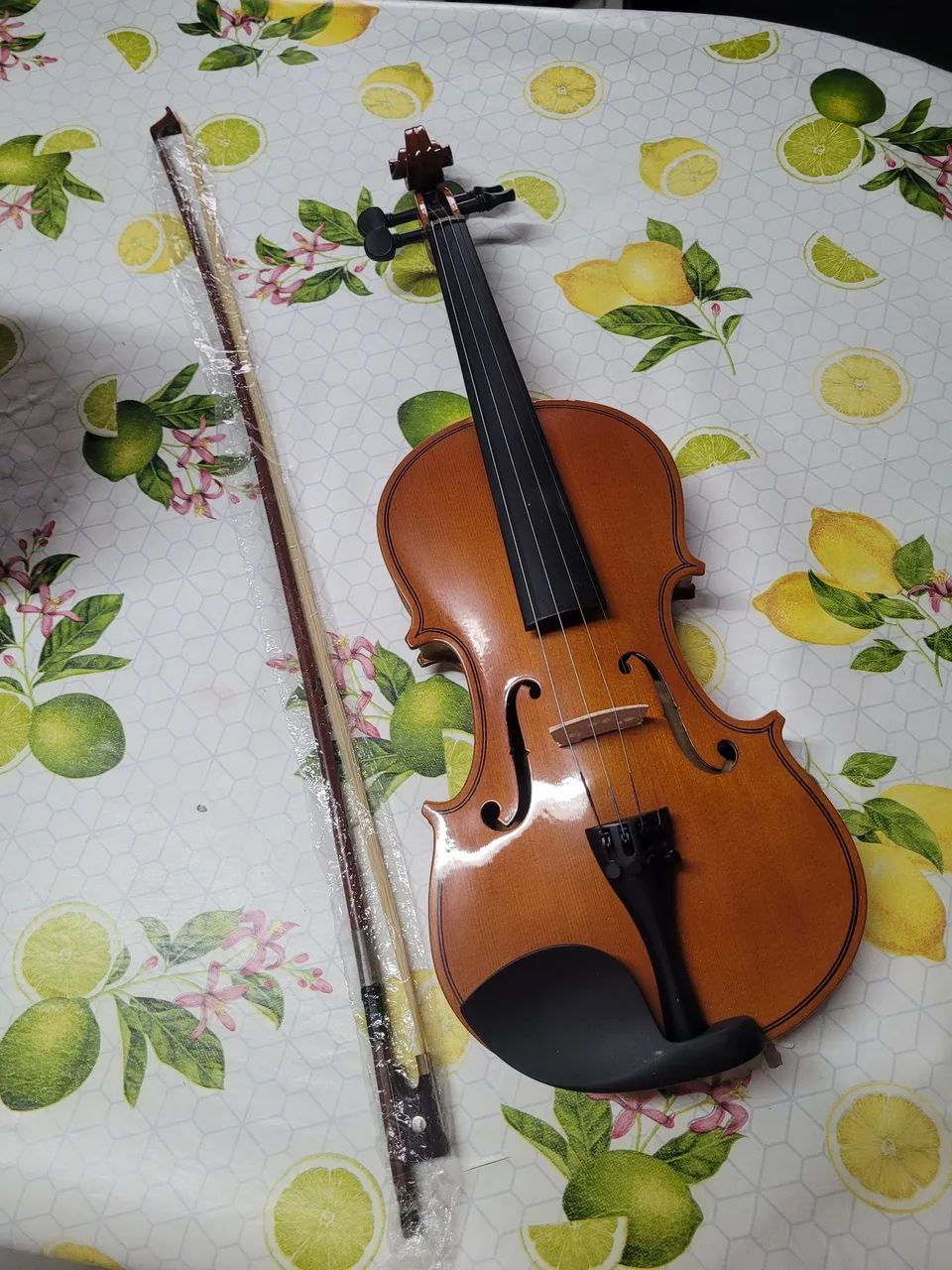 Violino Parrot 