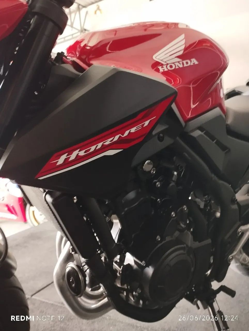 Hornet 500 2026 - Foto 2