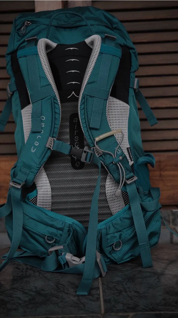 Mochila Osprey Kyte 36 - Foto 3