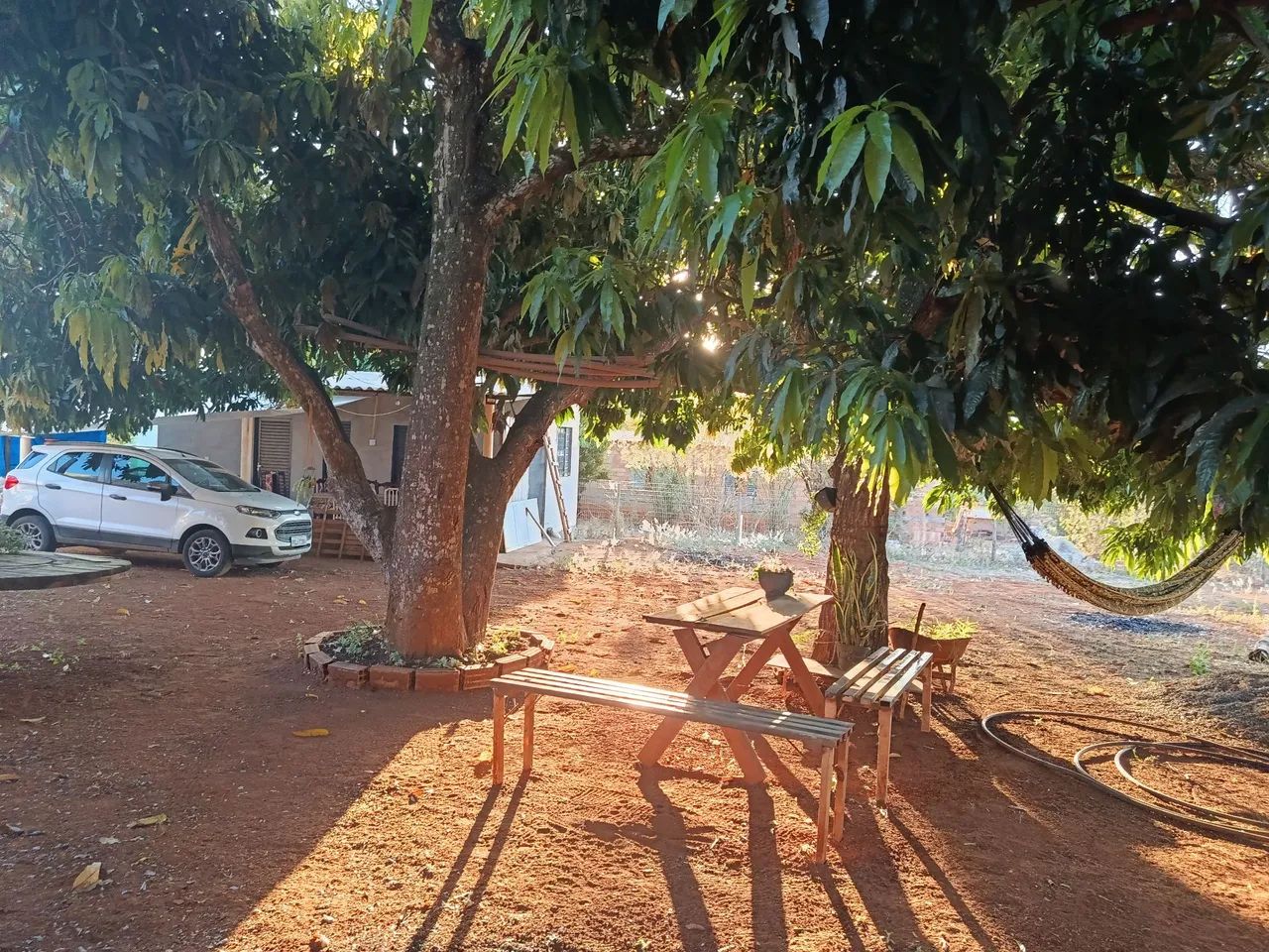 Chácara 9km do Trevo de Silvânia  - Foto 2