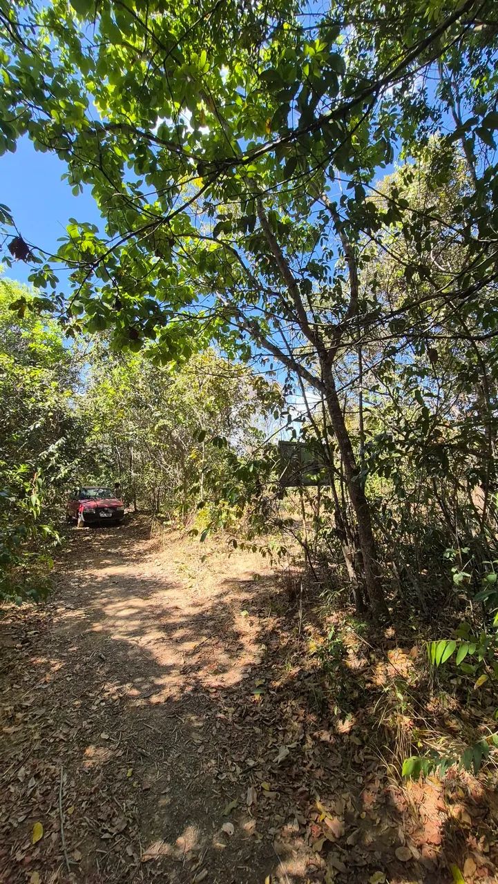 Terreno em Cavalcante Chapada dos veadeiros - Foto 4