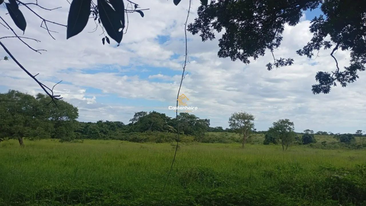 Fazenda - 239 alqueires - Lagoa do Tocantins - Foto 5