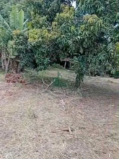 Lote Chácaras Abc - São Pedro - Foto 4