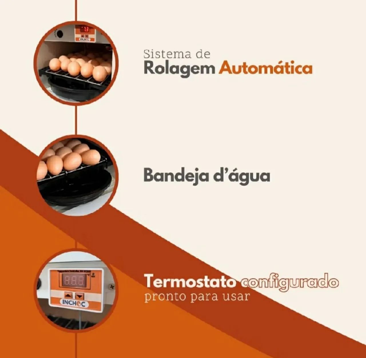 Chocadeira 28 ovos Rolagem automática  - Foto 4