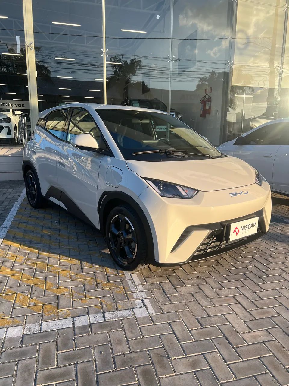 BYD Dolphin Mini (Elétrico) 2025 - Foto 3