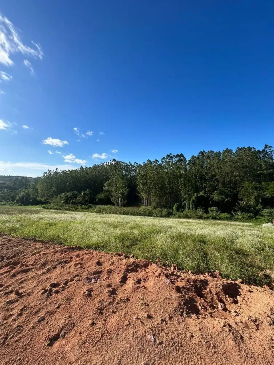LOTES EM IGARATÁ DE 600M² A PARTIR DE R$ 70 MIL! - Foto 2