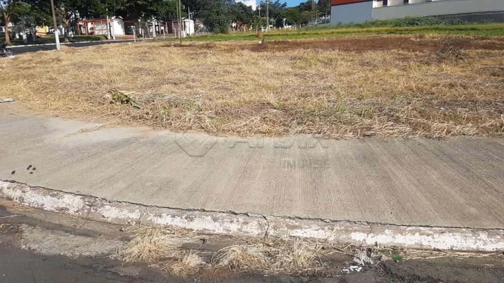 Terreno Comercial em Americana - Foto 2