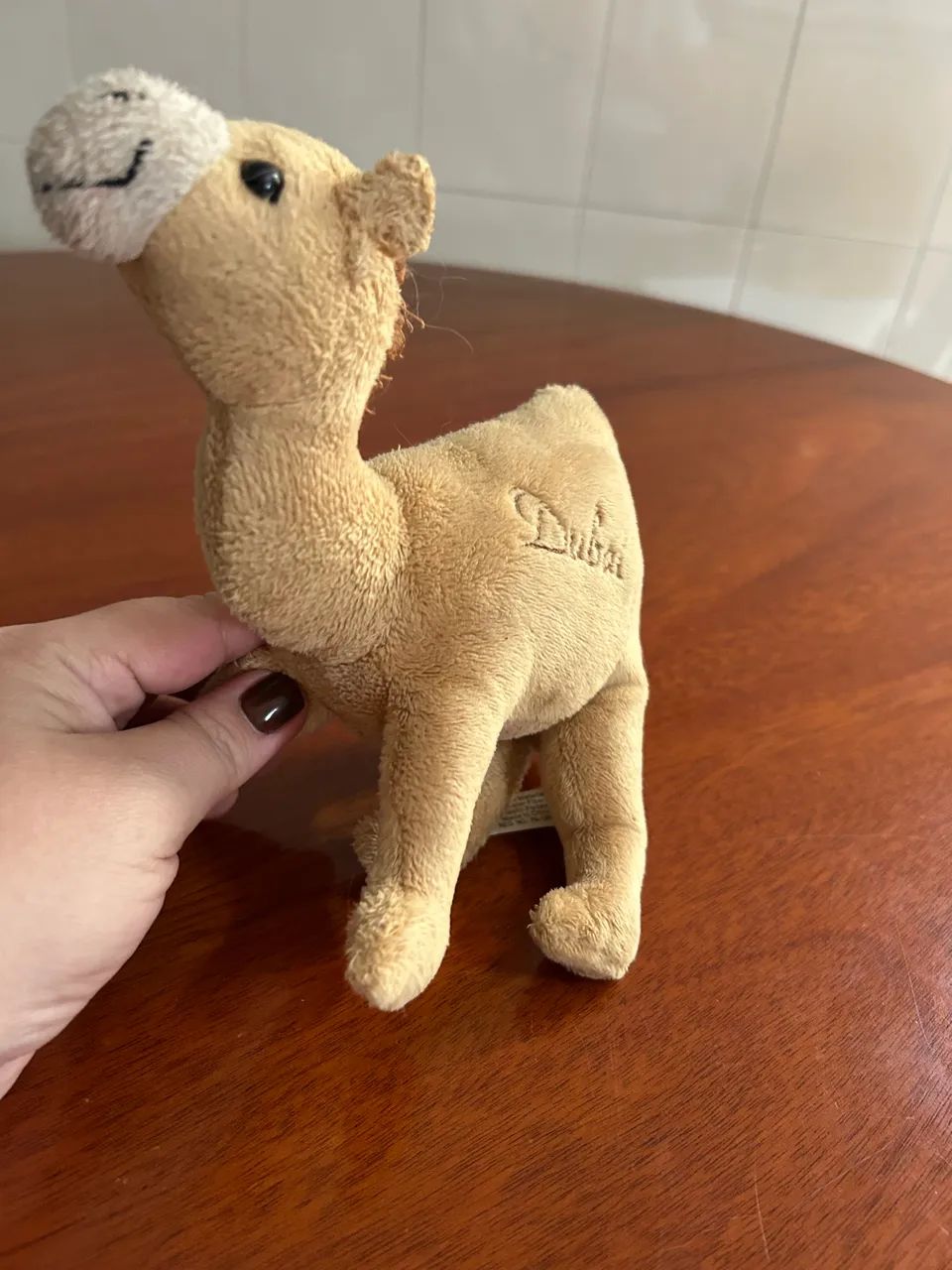 Camelinho de Dubai  - Foto 4