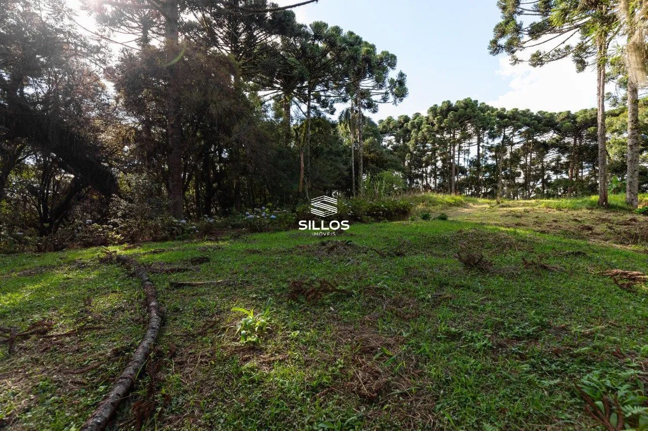 Chácara à venda com 80.000m² em Butiatuvinha em Curitiba - Foto 9